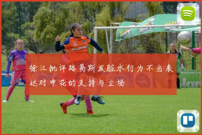 徐江批评路易斯泼脏水行为不当表达对申花的支持与立场