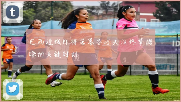 巴西连线即将落幕各方关注终章揭晓的关键时刻