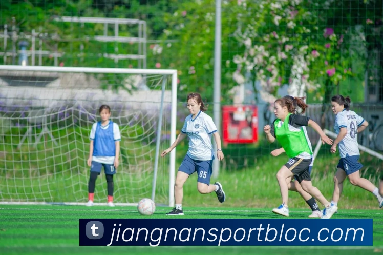 伊布与米兰老板卡迪纳莱会面阿莱格里等人共同参与讨论